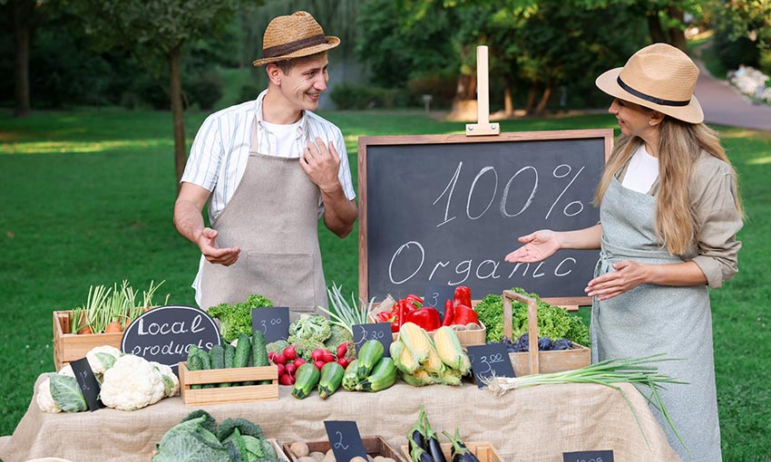 10 Benefits of Switching to an Organic Diet Today