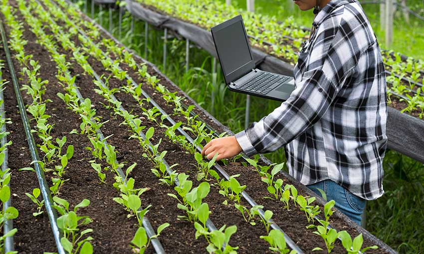 How Regenerative Agriculture Is Saving Our Soils