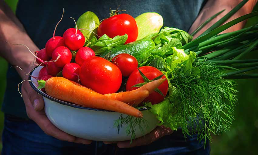 5 Quick Salad Recipes Using Fresh Farm Vegetables